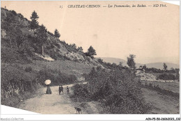 ACNP5-58-0431 - CHATEAU CHINON - Les Promenades - Les Roches  - Chateau Chinon