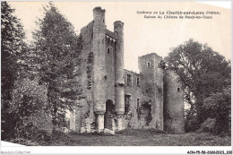 ACNP5-58-0415 - Environs De LA CHARITE-SUR-LOIRE - Ruines Du Château De Passy-les-tours - La Charité Sur Loire