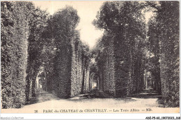 ADEP5-60-0444 - PARC DU CHATEAU DE CHANTILLY - Les Trois Allées - Chantilly
