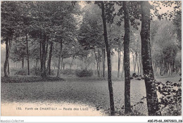 ADEP5-60-0418 - FORET DE CHANTILLY - Route Des Lions - Chantilly