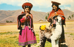 CPM -PEROU - CUZCO - Pastorcitas De Llamas - Lamas - Bel Affranchissement** TBE - *2 Scans - Perù