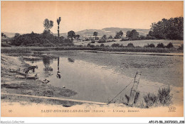 AFCP1-58-0105 - SAINT-HONORE-LES-BAINS - Nièvre - L'étang Honoré LAVANDIERE - Saint-Honoré-les-Bains