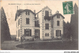 AFCP1-58-0024 - SAINT-AMAND - Nièvre - Le Château Des Gaborets  - Saint-Amand-en-Puisaye