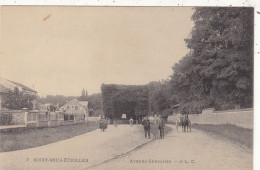 91. SOISY SOUS ETIOLLES. CPA. AVENUE CHEVALLIER. ANIMATION. CYCLISTE. ATTELAGE. - Other & Unclassified