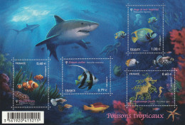 France 2012 Nature Faune Marine Poissons Tropicaux Bloc Feuillet N°f4646 Neuf** - Mint/Hinged