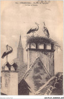 AIHP6-67-0635 - STRASBOURG - Un Nid De Cigognes - A Nest Of Storks - Strasbourg
