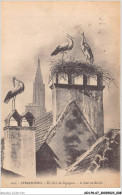 AIHP6-67-0625 - STRASBOURG - Un Nid De Cigognes - A Nest Of Storks - Strasbourg