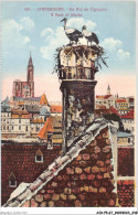 AIHP5-67-0618 - STRASBOURG - Un Nid De Cigognes A Nest Of Storks - Strasbourg