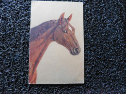 Portrait De Cheval Brun   (A21) - Paarden