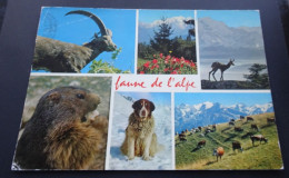 Faune De L'alpe - Editions J. CELLARD, Bron - Other & Unclassified