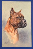 825 DOG BOXER REALISTIC PAINTING VERY RARE POSTCARD - Chiens