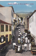 POSTCARD PORTUGAL - MADEIRA - CAMINHO DO MONTE ( DESCIDA DE CARROS ) - Madeira