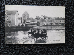 Le Loing à Moret, Chevaux Dans L'eau    (A21) - Horses