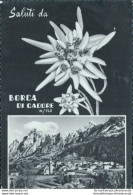 Bu564 Cartolina Saluti Da Borca Di Cadore Provincia Di Belluno Veneto - Otros & Sin Clasificación