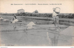 17 - ILE D OLERON - SAN50267 - Marais Salant - La Récolte Du Sel - Métier - Ile D'Oléron