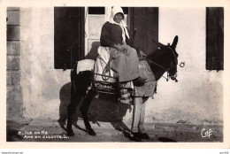 17 - ILE DE RE - SAN45942 - Ane En Culotte - Ile De Ré