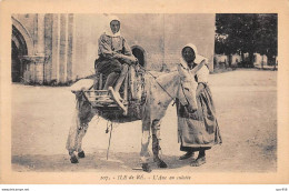 17 - ILE DE RE - SAN45946 - L'Ane En Culotte - Ile De Ré