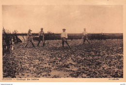 17 - ILE D OLERON - SAN66562 - Grattage Des Huîtres - Agriculture - Ile D'Oléron