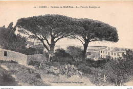 20 - BASTIA - SAN55048 - Environs - Les Pins De Montépiano - Bastia