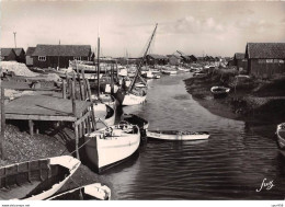 17 - ILE D OLERON - SAN23337 - Centre Ostréicole - Port Et Chenal De La Chevalerie - CPSM 15X10,5 Cm - Ile D'Oléron