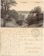 Ansichtskarte Grunewald-Berlin Grunewald - Am Dachsgrund 1917  - Grunewald