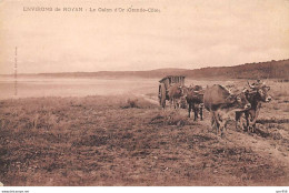 17 - ROYAN - SAN42035 - Le Galon D'Ord (Grande Côte) - Royan