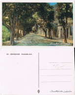 Postcard Crikvenica Cirquenizza Vinodoiska Ulica 1932  - Kroatien
