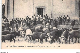 20. N° 101073 .zilia .scenes  Corses .benediction Des Cochons A Zilia . - Sonstige & Ohne Zuordnung