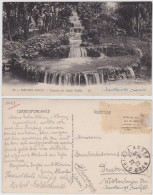 Sidi Bel Abbès ‏سيدي بلعباس Partie In Den Parkanlagen 1927 - Sidi-bel-Abbes