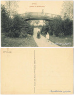 Ansichtskarte Zittau Brücke Im Schillerpark 1913 - Zittau