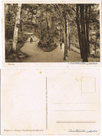 Ansichtskarte Meerane Partie Im Anna-Park 1918 - Meerane