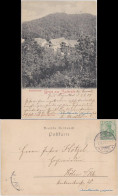 Ansichtskarte Bad Suderode Blick Auf Michaelis-Hotel 1904  - Autres & Non Classés