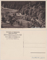 Ansichtskarte Mägdesprung-Harzgerode Blick Auf Die Selkemühle 1928  - Autres & Non Classés