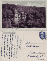 Ansichtskarte Meißen Stadtpark Waldschlößchen 1952 - Meissen
