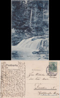 Ansichtskarte Loschwitz-Dresden Wasserfall Im Priessnitzgrund 1907  - Dresden