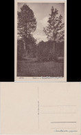 Ansichtskarte Lofer Umlandpartie 1922  - Autres & Non Classés