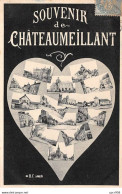 18 - CHATEAUMAILLANT - SAN47243 - Souvenir - Châteaumeillant