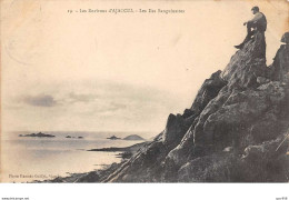 20    .     N° 201973    .     AJACCIO     .      LES ILES SANGUINAIRES - Ajaccio