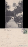 Postcard Gotzlow-Stettin Gotzlow Szczecin Aufgang Zum Julo 1908  - Pommern