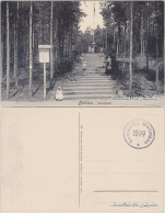 Ansichtskarte Weißer Hirsch-Dresden Eingang Zum Waldpark 1914  - Dresden