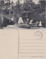 Ansichtskarte Weißer Hirsch-Dresden Waldpark - Belebt 1913  - Dresden