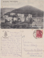 Ansichtskarte Bad Harzburg Villen Am Burgberge 1919 - Bad Harzburg