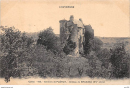 15 - N°72859 - Environs De PLEAUX - Château De Branzac (XVè Siècle) - Otros & Sin Clasificación