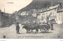 15 - N°75741 - MURAT - La Place De L'Hôtel De Ville - Agriculture, Boeufs - Murat