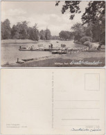 Wörlitz-Oranienbaum-Wörlitz Gondelstation Im Wörlitzer Park Bei Dessau 1961 - Altri & Non Classificati