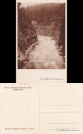 Postcard Semil Semily Fluß Und Waldhaus 1922 - Tchéquie