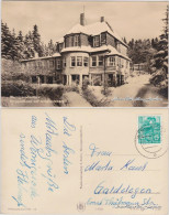 Ansichtskarte Wernigerode Berggasthaus Am Armeleuteberg 1960 - Sonstige & Ohne Zuordnung