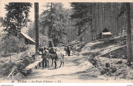 20 - Evisa  - SAN20227 - La Forêt D'Aïtone - Sonstige & Ohne Zuordnung
