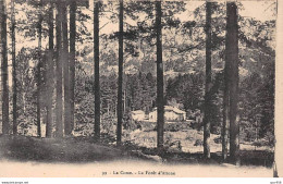 20 - La Forêt D'Aïtone - SAN20226 - Vue Générale - Other & Unclassified