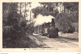 17 - St Palais Sur Mer - SAN21481 - Le Tram En Forêt - Train - Saint-Palais-sur-Mer